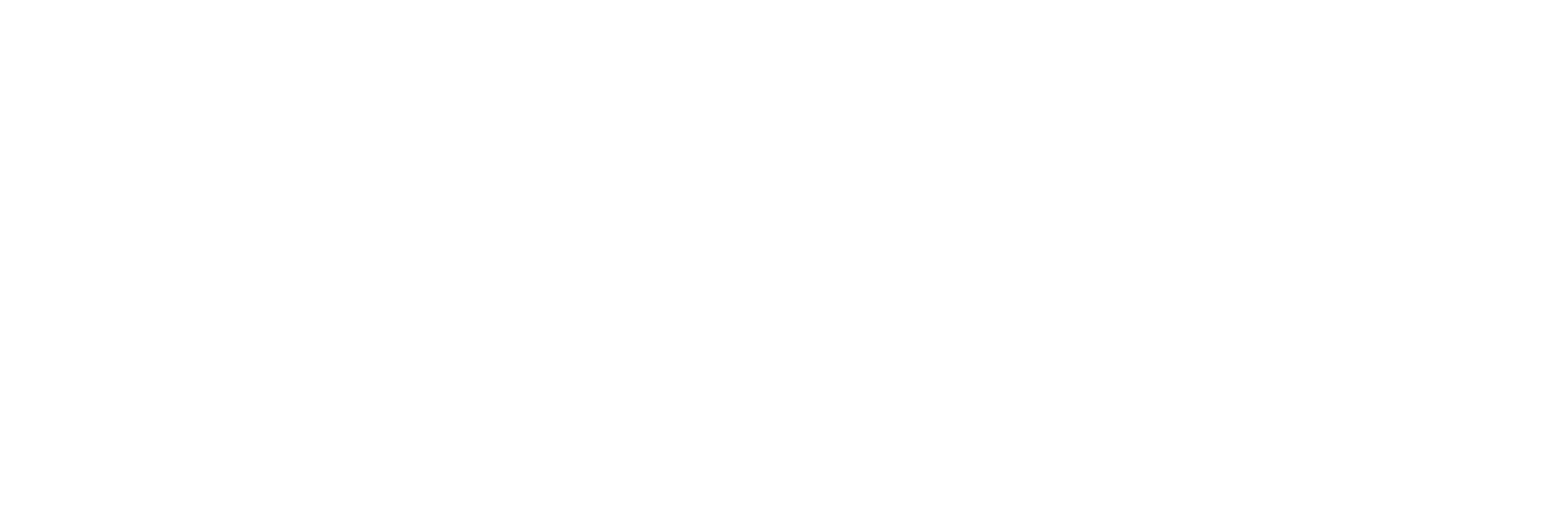 Transports Firm logo