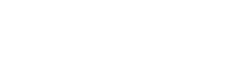 Transportsfirm logo